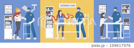 Reptile pets get medical treatment in veterinary clinic, vector illustration. 109617976