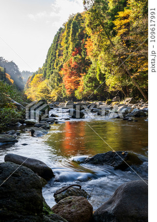 川の流れと落ち葉 109617991