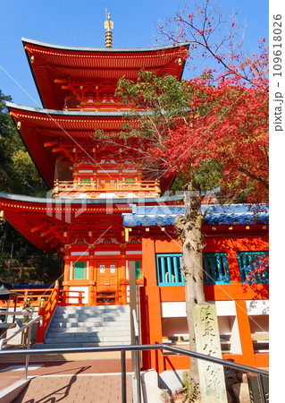 秋の神戸・須磨寺の三重塔と紅葉 109618026