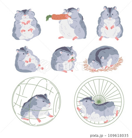 Cute gray hamster with white belly gnaws carrot or seed, runs in wheel, sleeps, looks curiously, fluffy pet vector set Cute gray hamster with white belly gnaws carrot or seed, runs in wheel, sleeps, looks curiously, fluffy pet vector set 109618035