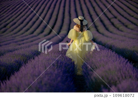 Lavender field happy woman in yellow dress in lavender field summer time at sunset 109618072