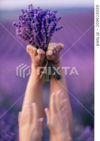 Lavender field woman's legs emerging from the bushes, holding a bouquet of fragrant lavender. Purple lavender bushes in bloom, aromatherapy. 109618080