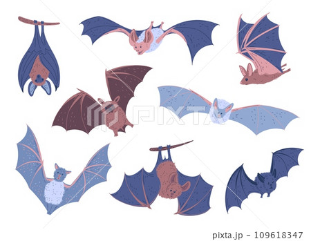 Set of hand drawn bats, cartoon flat vector illustration isolated on white background. Set of hand drawn bats, cartoon flat vector illustration isolated on white background. 109618347