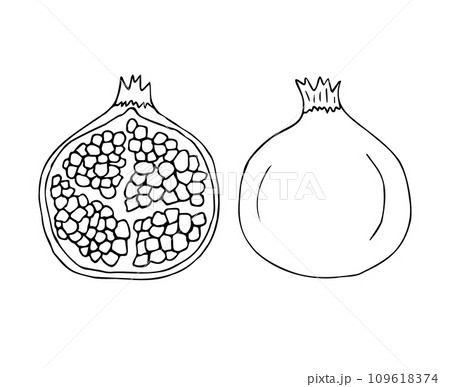 Vector hand drawn sketch doodle pomegranate 109618374