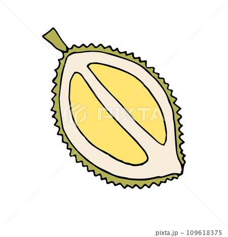 Vector hand drawn doodle colored durian fruit 109618375