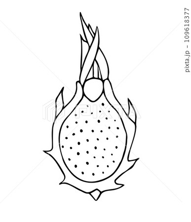 Vector hand drawn sketch doodle dragon fruit 109618377