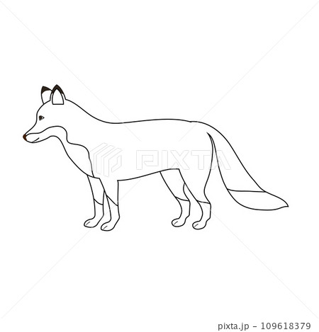 Vector flat hand drawn outline fox 109618379