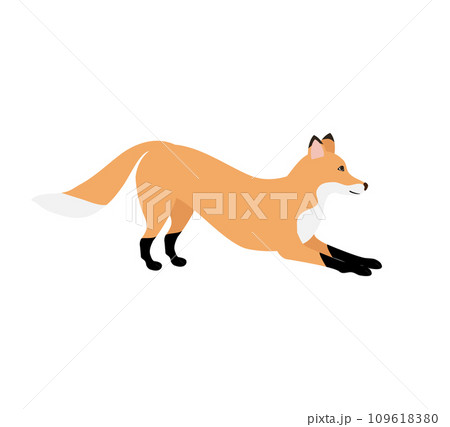 Vector hand drawn flat fox 109618380