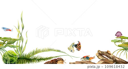 Hand drawn watercolor aquarium fish, algae and sealife. Marine exotic underwater illustration. Seamless border isolated on white background. Design for shops, brochure, print, card, wall art, textile. 109618432