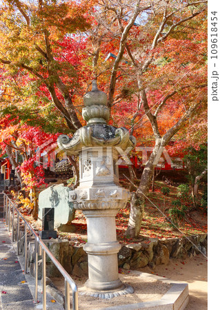 秋の神戸・須磨寺の紅葉 109618454