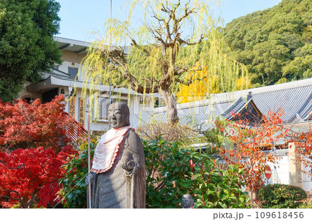 秋の神戸・須磨寺の正覚院前のお地蔵さんと紅葉 109618456
