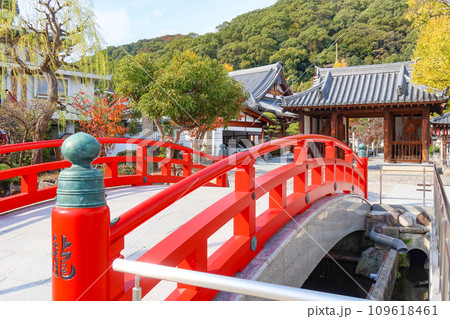 秋の神戸・須磨寺の龍華橋と仁王門と紅葉 109618461