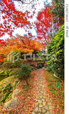 秋の大阪の加賀屋新田会所・加賀屋緑地の紅葉の石畳と池 109618652