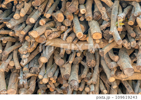 pile of firewood in a stack ready for burning or winter 109619243