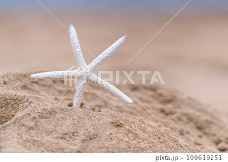 Starfish on sandy beach in summer with sea background Starfish on sandy beach in summer with sea background 109619251