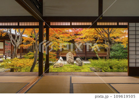 京都東山の秋 建仁寺 紅葉に包まれた潮音庭 京都東山の秋 建仁寺 紅葉に包まれた潮音庭 109619505