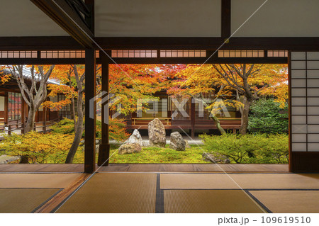 京都東山の秋　建仁寺　紅葉に包まれた潮音庭 109619510