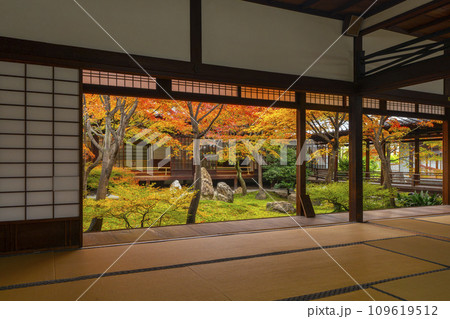 京都東山の秋　建仁寺　紅葉に包まれた潮音庭 109619512