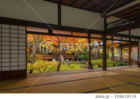 京都東山の秋　建仁寺　紅葉に包まれた潮音庭 109619514