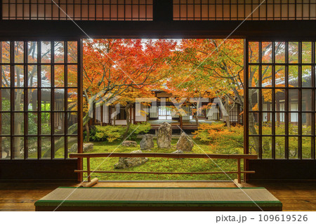 京都東山の秋　建仁寺　紅葉に包まれた潮音庭 109619526