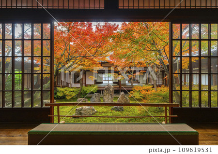 京都東山の秋　建仁寺　紅葉に包まれた潮音庭 109619531