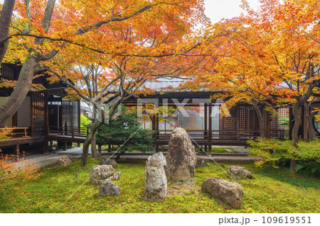 京都東山の秋　建仁寺　紅葉に包まれた潮音庭 109619551
