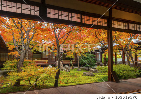 京都東山の秋 建仁寺 紅葉に包まれた潮音庭 京都東山の秋 建仁寺 紅葉に包まれた潮音庭 109619570