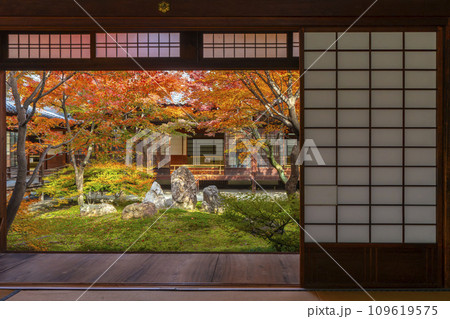 京都東山の秋　建仁寺　紅葉に包まれた潮音庭 109619575