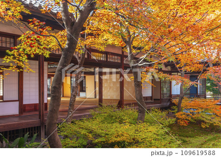京都東山の秋　建仁寺　紅葉に包まれた潮音庭 109619588