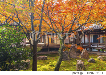 京都東山の秋　建仁寺　紅葉に包まれた潮音庭 109619591