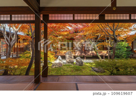 京都東山の秋 建仁寺 紅葉に包まれた潮音庭 京都東山の秋 建仁寺 紅葉に包まれた潮音庭 109619607