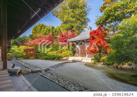 京都東山の秋 建仁寺 方丈から見た紅葉と納骨堂 京都東山の秋 建仁寺 方丈から見た紅葉と納骨堂 109619624
