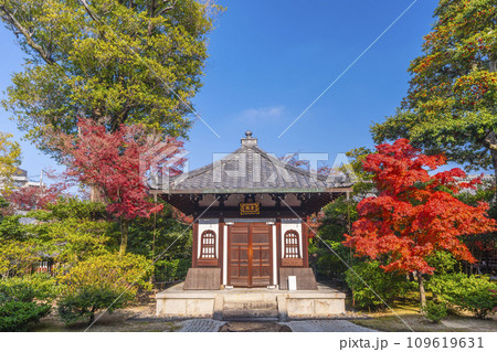 京都東山の秋　建仁寺　方丈から見た紅葉と納骨堂 109619631
