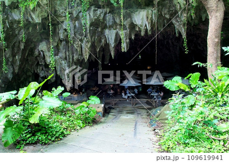 沖縄 ガンガラ―の谷 109619941