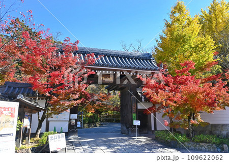 紅葉の名所 京都市永観堂禅林寺 南門 109622062