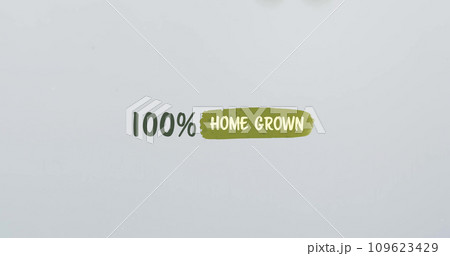 Composite of 100 percent home grown text over grey background with copy space Composite of 100 percent home grown text over grey background with copy space 109623429