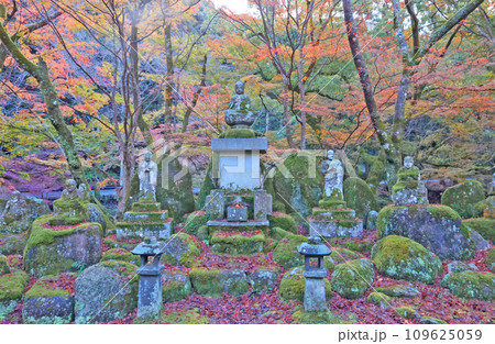 大寧寺の紅葉 109625059