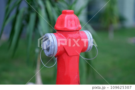 Red fire hydrant standing in park closeup Red fire hydrant standing in park closeup 109625307