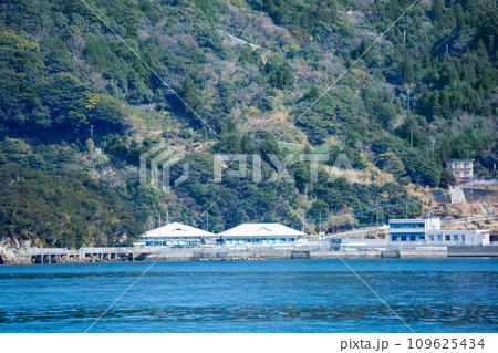 つくみイルカ島 つくみイルカ島 109625434