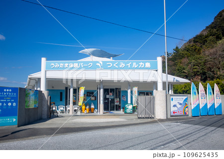 つくみイルカ島 つくみイルカ島 109625435