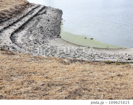 冬の池と干上がった池の土手の風景 109625815