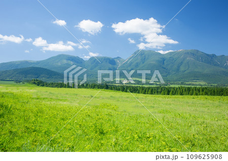 夏の久住高原 109625908
