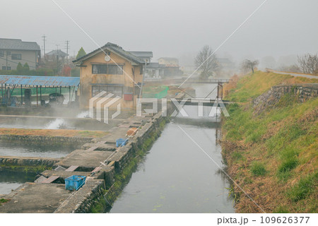 安曇野・朝景色【ニジマス養殖場】 安曇野・朝景色【ニジマス養殖場】 109626377