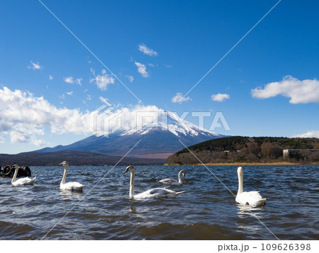 富士山　山中湖 109626398
