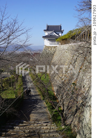 岡山県津山市にあるさくら名所100選のひとつ「鶴山公園（津山城趾）」：備中やぐら 109627903