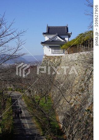 岡山県津山市にあるさくら名所100選のひとつ「鶴山公園(津山城趾)」:備中やぐら 岡山県津山市にあるさくら名所100選のひとつ「鶴山公園(津山城趾)」:備中やぐら 109627906