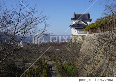 岡山県津山市にあるさくら名所100選のひとつ「鶴山公園(津山城趾)」:備中やぐら 岡山県津山市にあるさくら名所100選のひとつ「鶴山公園(津山城趾)」:備中やぐら 109627908