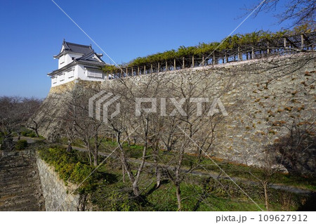 岡山県津山市にあるさくら名所100選のひとつ「鶴山公園(津山城趾)」:備中やぐらと藤棚 岡山県津山市にあるさくら名所100選のひとつ「鶴山公園(津山城趾)」:備中やぐらと藤棚 109627912