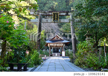 秋に詣でる京都市鹿ヶ谷の大豊神社 秋に詣でる京都市鹿ヶ谷の大豊神社 109628141