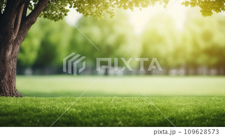 Green lawn and trees background with copyspace....のイラスト素材 [109628573 ...